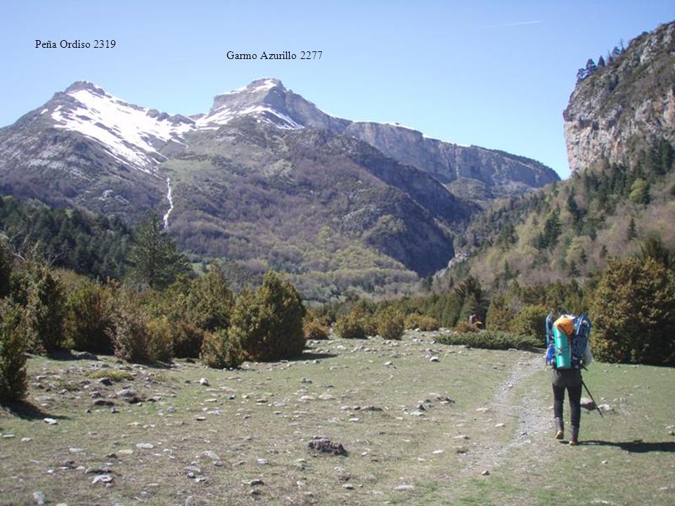 Peña Ordiso 2319 Garmo Azurillo 2277