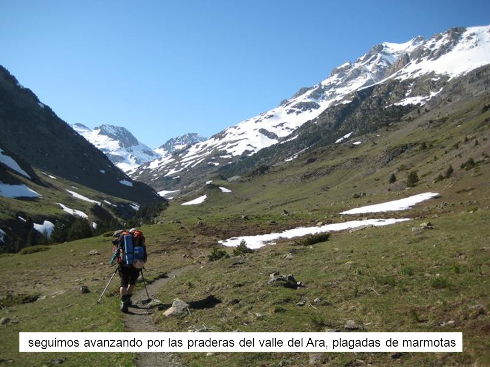 seguimos avanzando por las praderas del valle del Ara, plagadas de marmotas