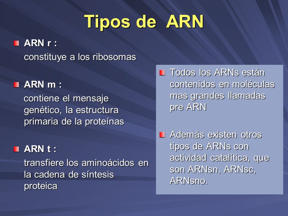 Tipos de ARN ARN r : constituye a los ribosomas ARN m :