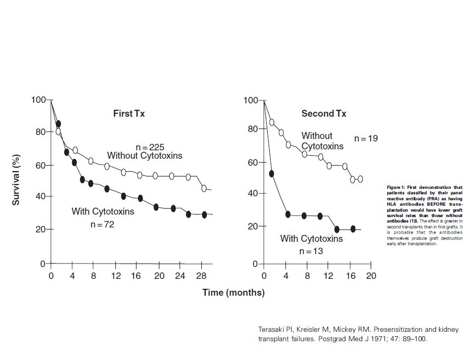 Proof that a humoral test for sensitization is effective was first provided by survival curves in patients classified according to the presence or absence of cytotoxic antibodies (13) (Figure 1).