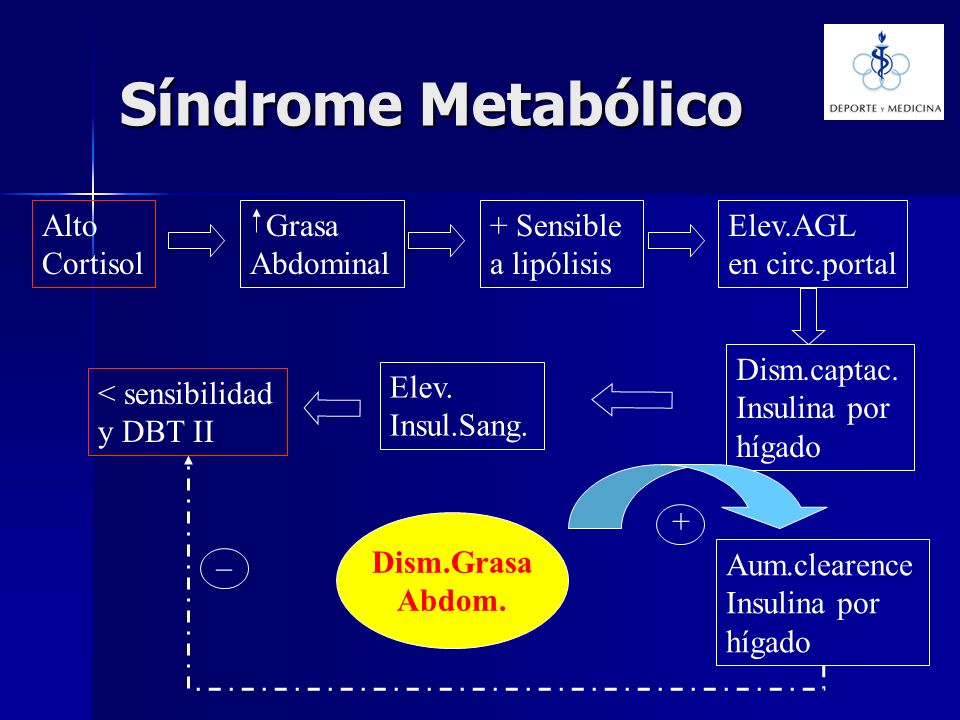Síndrome Metabólico Alto Cortisol Grasa Abdominal + Sensible