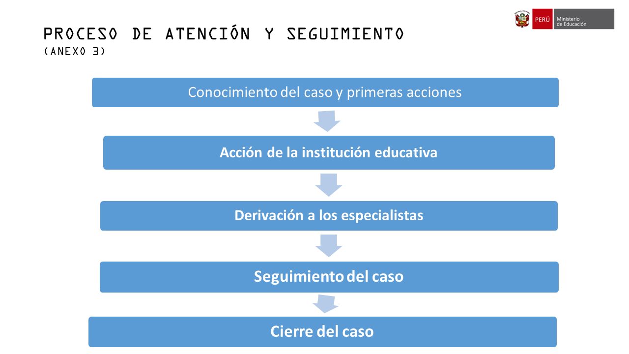 Acción de la institución educativa Derivación a los especialistas