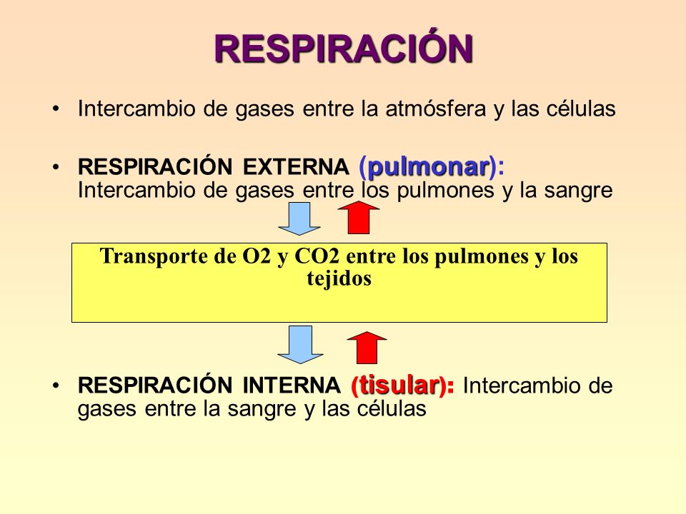 Transporte de O2 y CO2 entre los pulmones y los tejidos