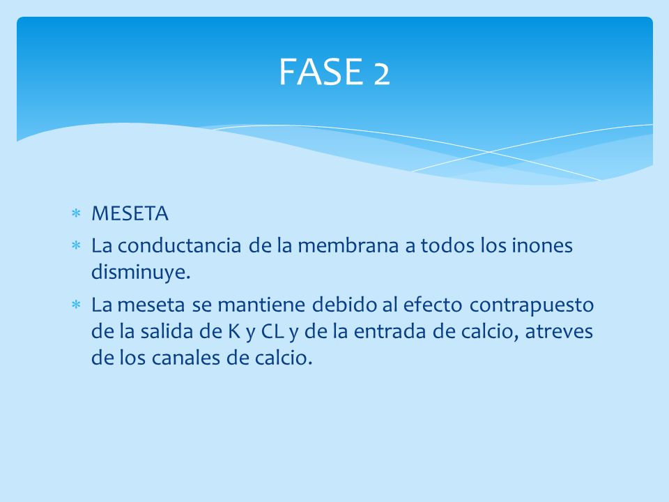 FASE 2 MESETA. La conductancia de la membrana a todos los inones disminuye.