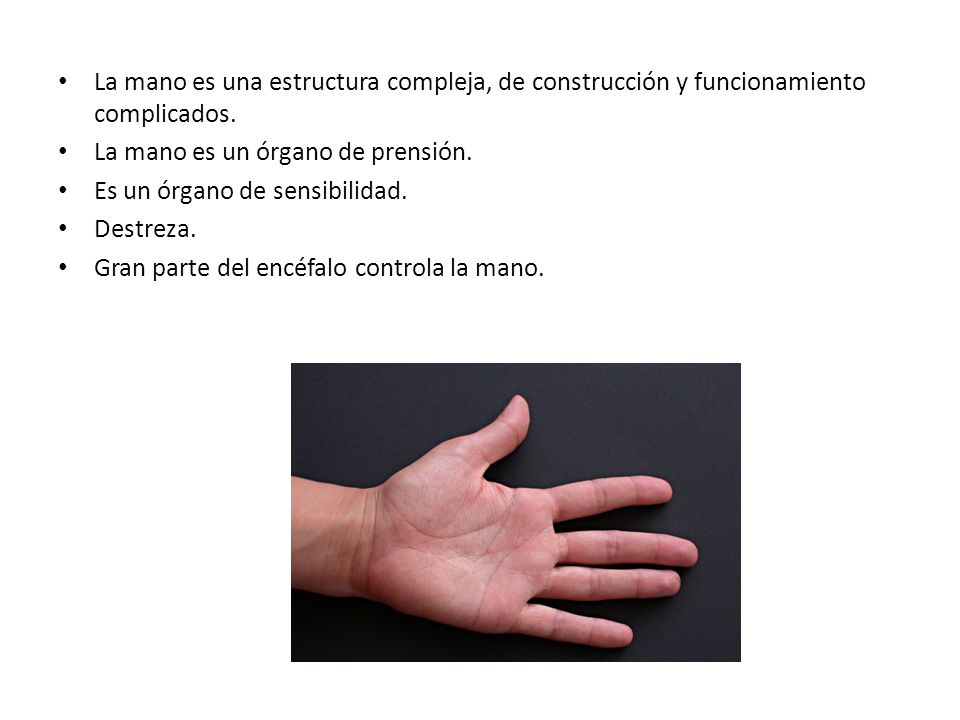 La mano es una estructura compleja, de construcción y funcionamiento complicados.