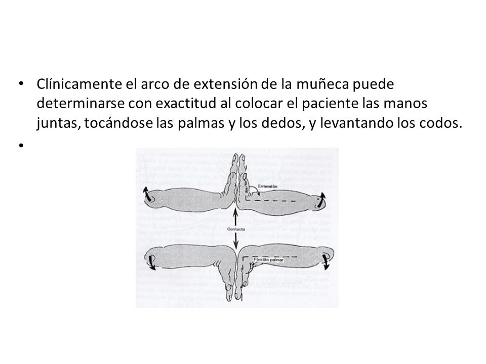 Clínicamente el arco de extensión de la muñeca puede determinarse con exactitud al colocar el paciente las manos juntas, tocándose las palmas y los dedos, y levantando los codos.
