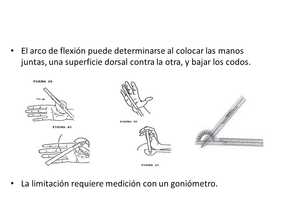 El arco de flexión puede determinarse al colocar las manos juntas, una superficie dorsal contra la otra, y bajar los codos.