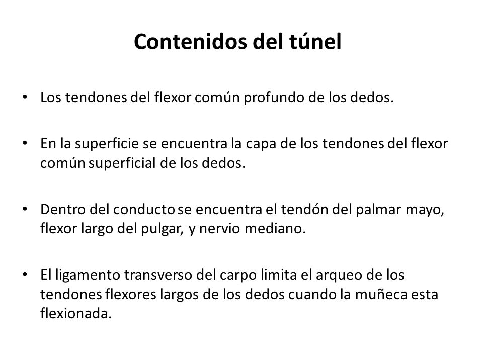Contenidos del túnel Los tendones del flexor común profundo de los dedos.