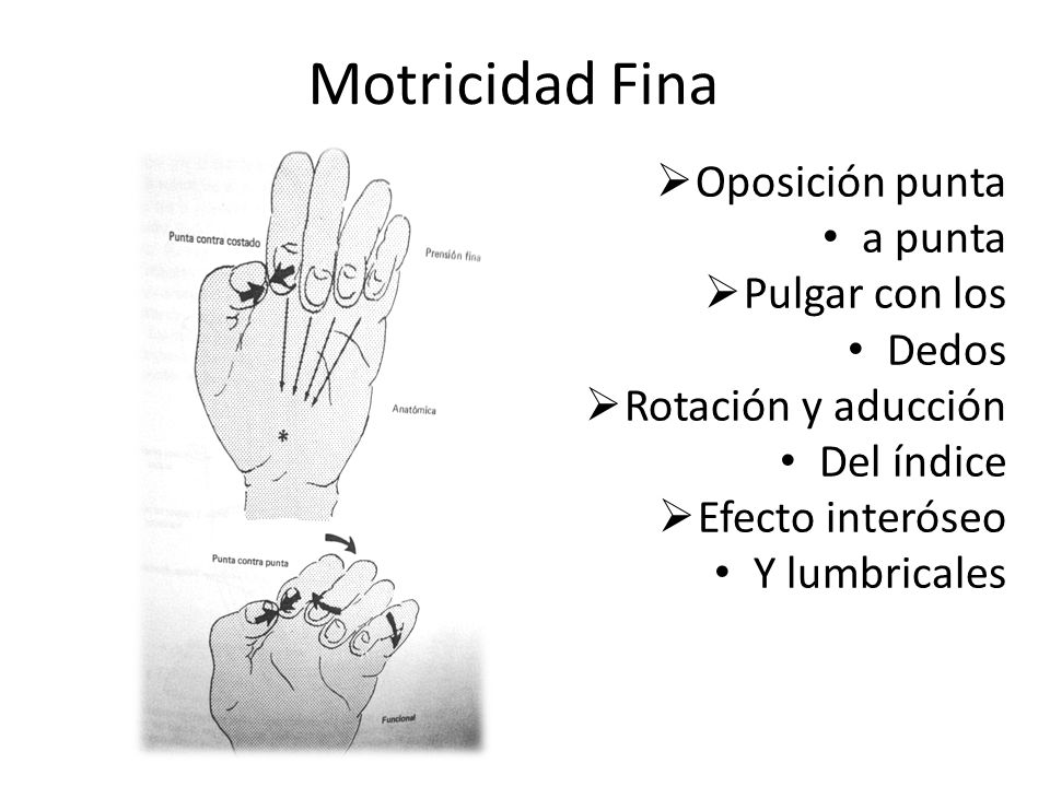 Motricidad Fina Oposición punta a punta Pulgar con los Dedos