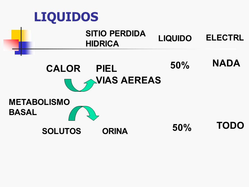 LIQUIDOS NADA 50% CALOR PIEL VIAS AEREAS 50% SITIO PERDIDA HIDRICA