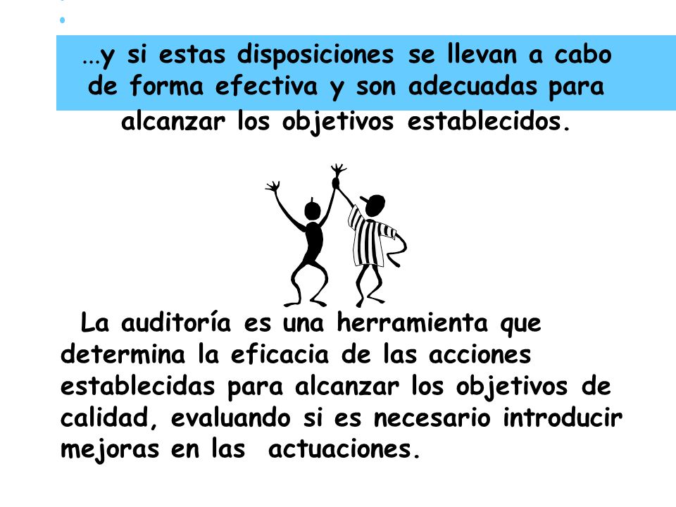 ...y si estas disposiciones se llevan a cabo de forma efectiva y son adecuadas para alcanzar los objetivos establecidos.