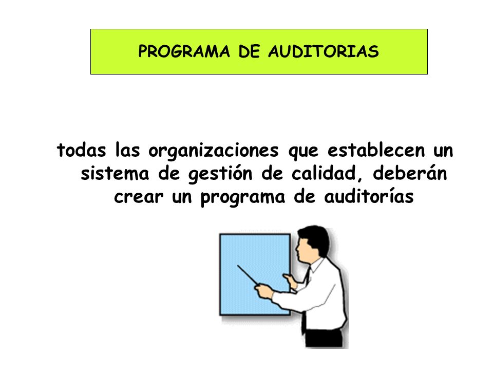 PROGRAMA DE AUDITORIAS
