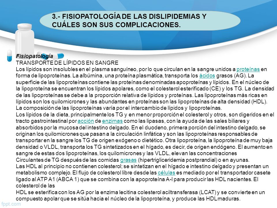 3.- FISIOPATOLOGÍA DE LAS DISLIPIDEMIAS Y CUÁLES SON SUS COMPLICACIONES.