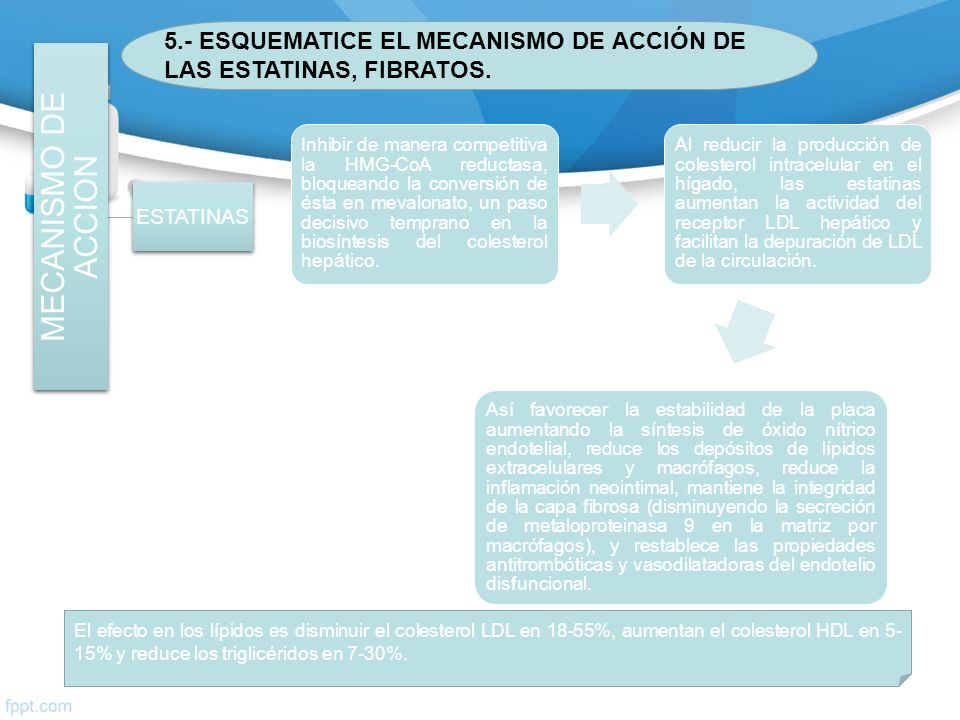 MECANISMO DE ACCION ESTATINAS. 5.- ESQUEMATICE EL MECANISMO DE ACCIÓN DE LAS ESTATINAS, FIBRATOS.