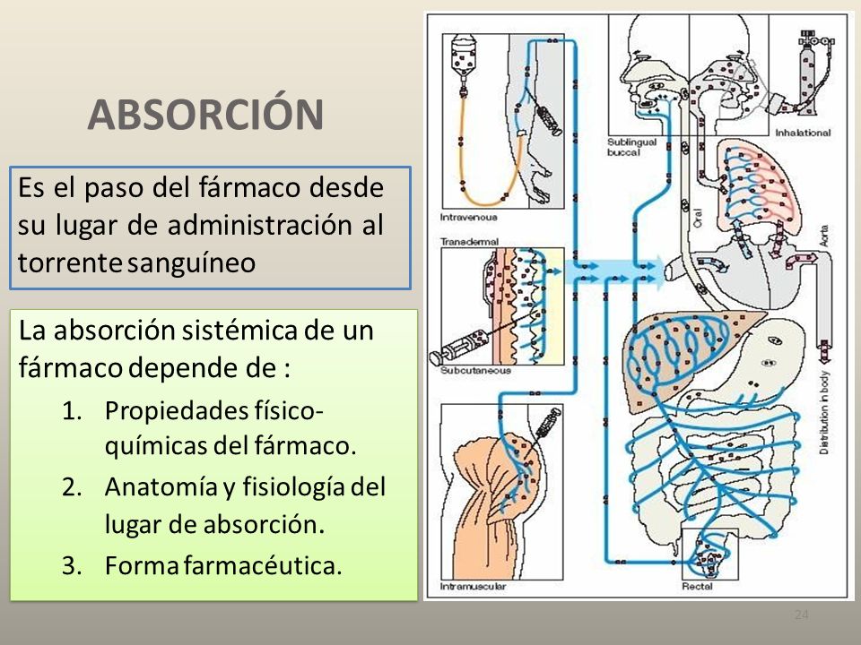 ABSORCIÓN Es el paso del fármaco desde su lugar de administración al torrente sanguíneo. La absorción sistémica de un.