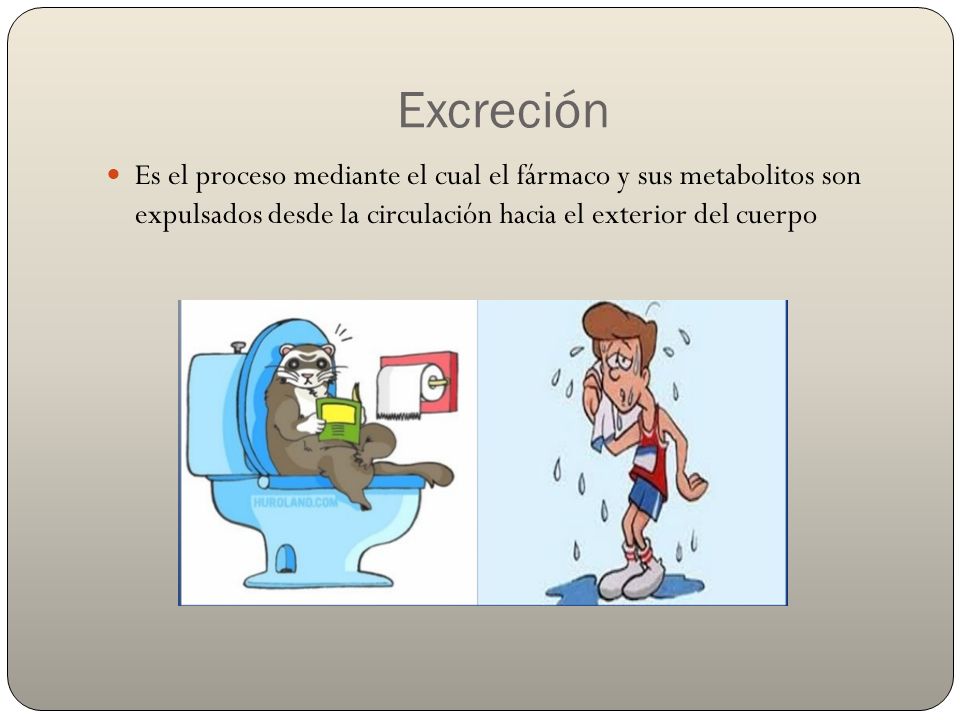 Excreción Es el proceso mediante el cual el fármaco y sus metabolitos son expulsados desde la circulación hacia el exterior del cuerpo.