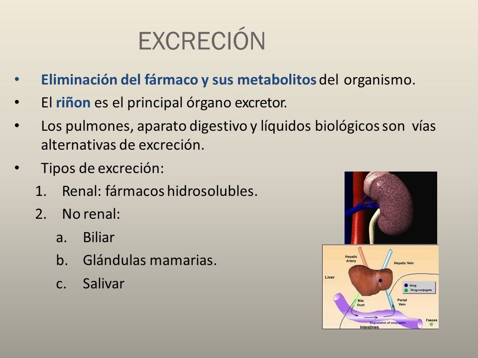 EXCRECIÓN Eliminación del fármaco y sus metabolitos del organismo.