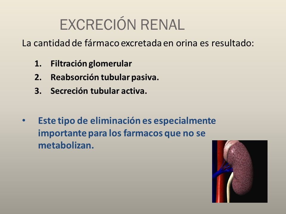 EXCRECIÓN RENAL La cantidad de fármaco excretada en orina es resultado: Filtración glomerular. Reabsorción tubular pasiva.