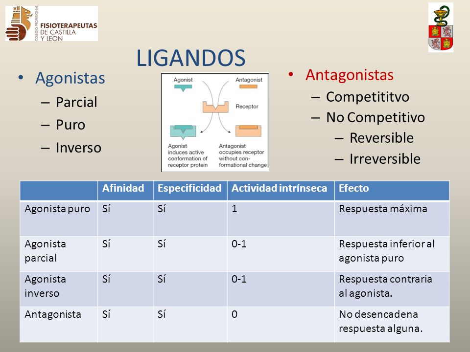 LIGANDOS Agonistas Antagonistas Competititvo Parcial No Competitivo