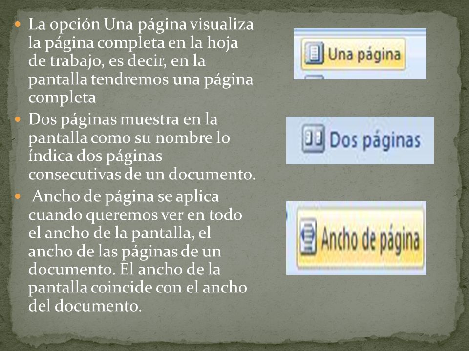 La opción Una página visualiza la página completa en la hoja de trabajo, es decir, en la pantalla tendremos una página completa