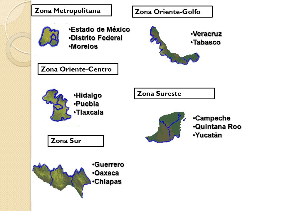 Zona Metropolitana Zona Oriente-Golfo. Estado de México. Distrito Federal. Morelos. Veracruz. Tabasco.