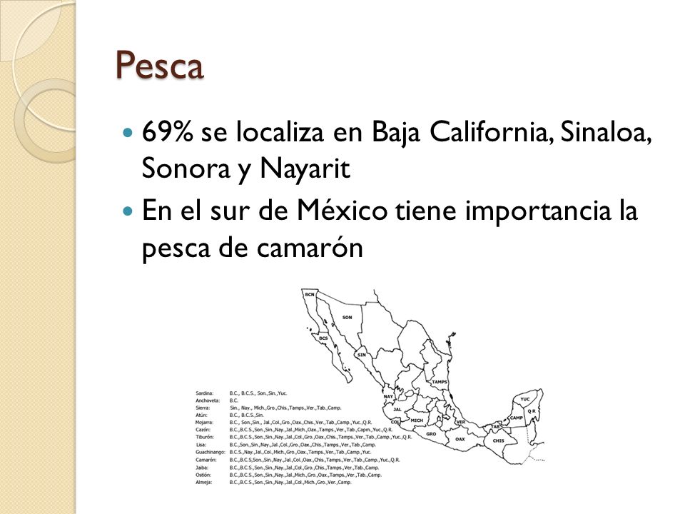 Pesca 69% se localiza en Baja California, Sinaloa, Sonora y Nayarit