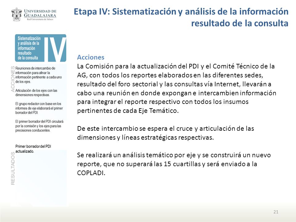 Etapa IV: Sistematización y análisis de la información resultado de la consulta
