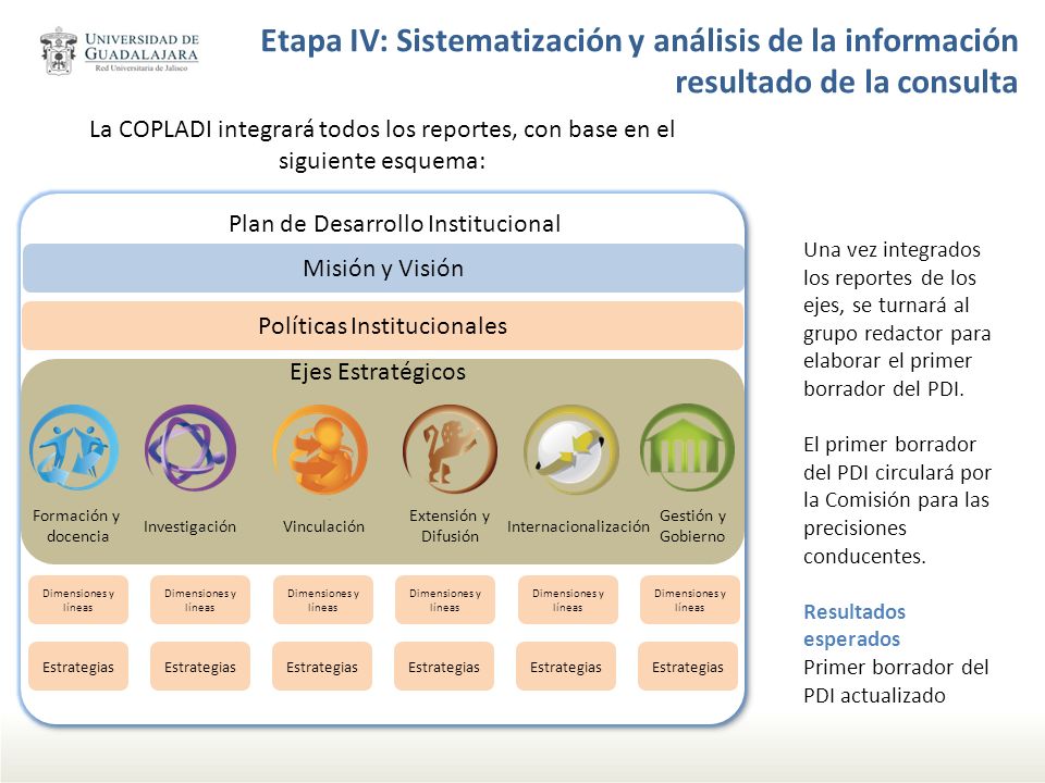 Etapa IV: Sistematización y análisis de la información resultado de la consulta