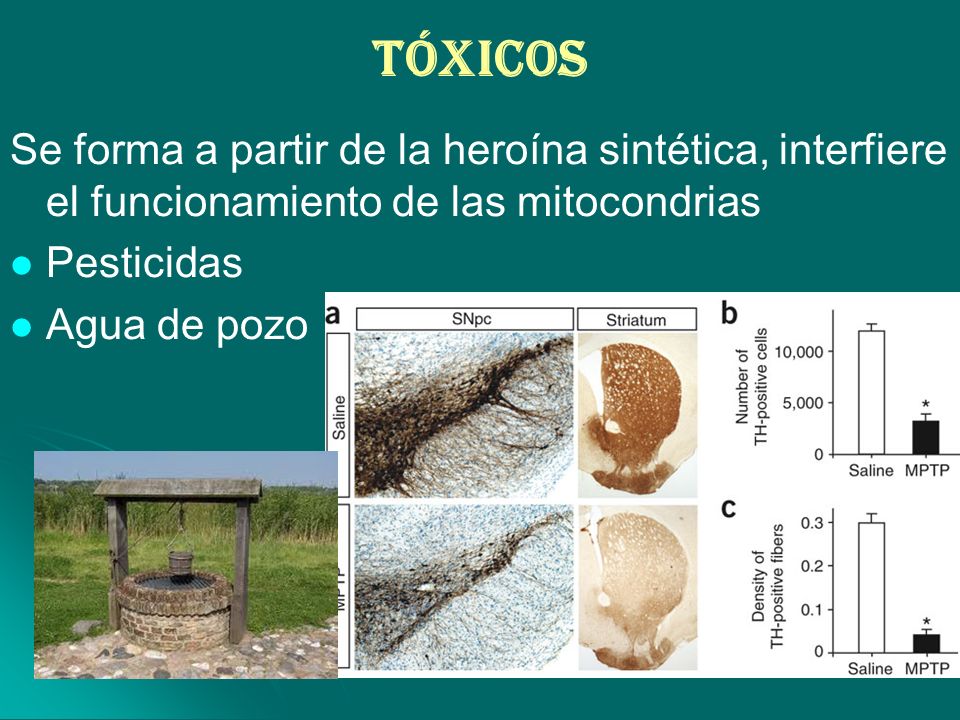 Tóxicos Se forma a partir de la heroína sintética, interfiere el funcionamiento de las mitocondrias.