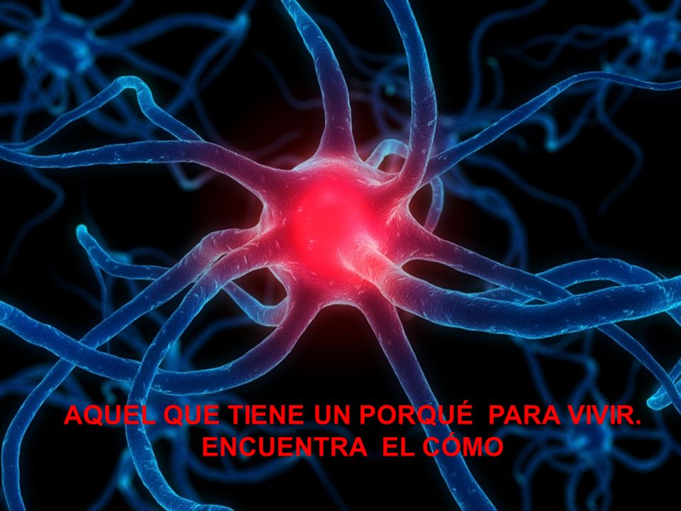 AQUEL QUE TIENE UN PORQUÉ PARA VIVIR. ENCUENTRA EL CÓMO