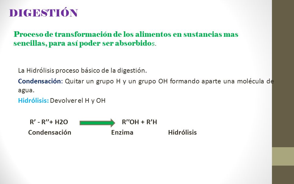 DIGESTIÓN Proceso de transformación de los alimentos en sustancias mas sencillas, para así poder ser absorbidos.