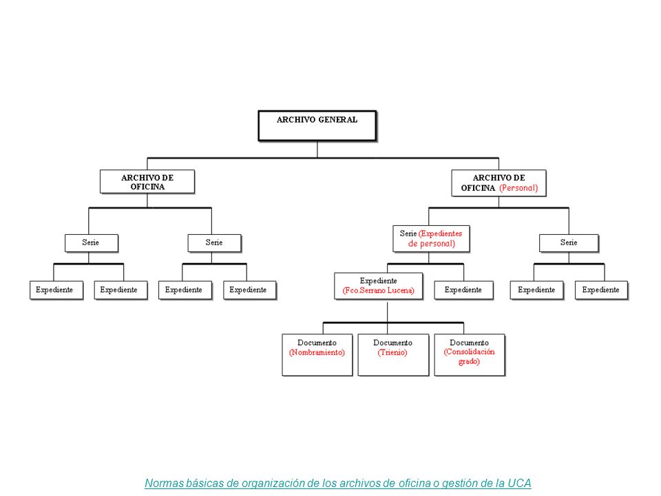 Normas básicas de organización de los archivos de oficina o gestión de la UCA