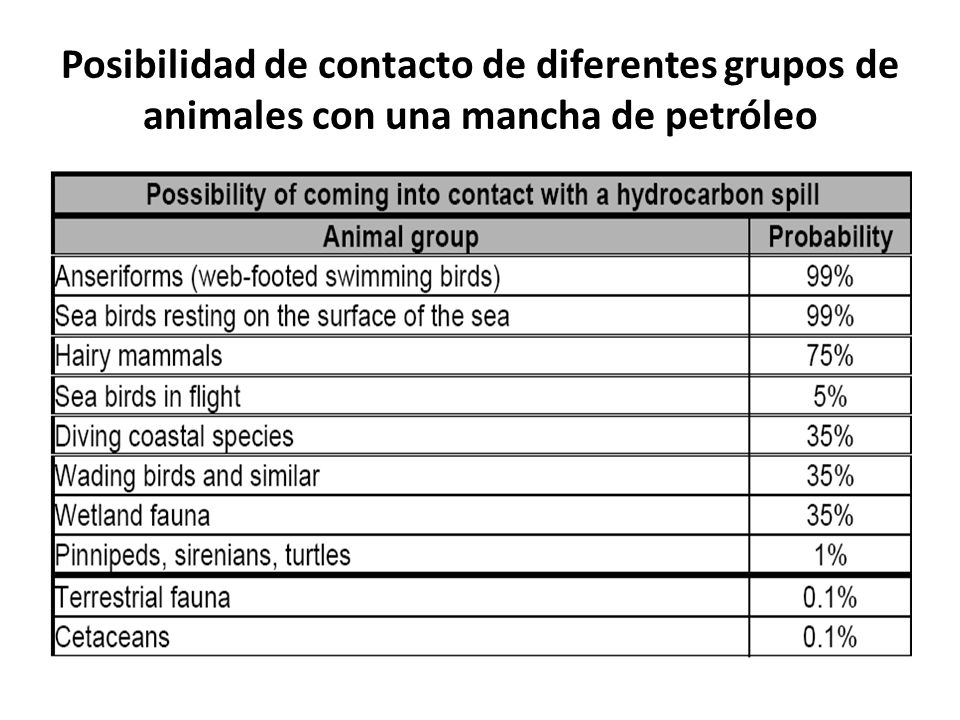 Posibilidad de contacto de diferentes grupos de animales con una mancha de petróleo