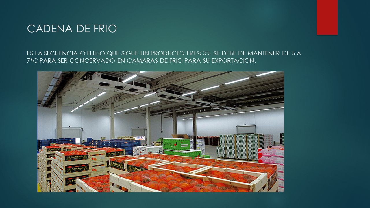 CADENA DE FRIO ES LA SECUENCIA O FLUJO QUE SIGUE UN PRODUCTO FRESCO