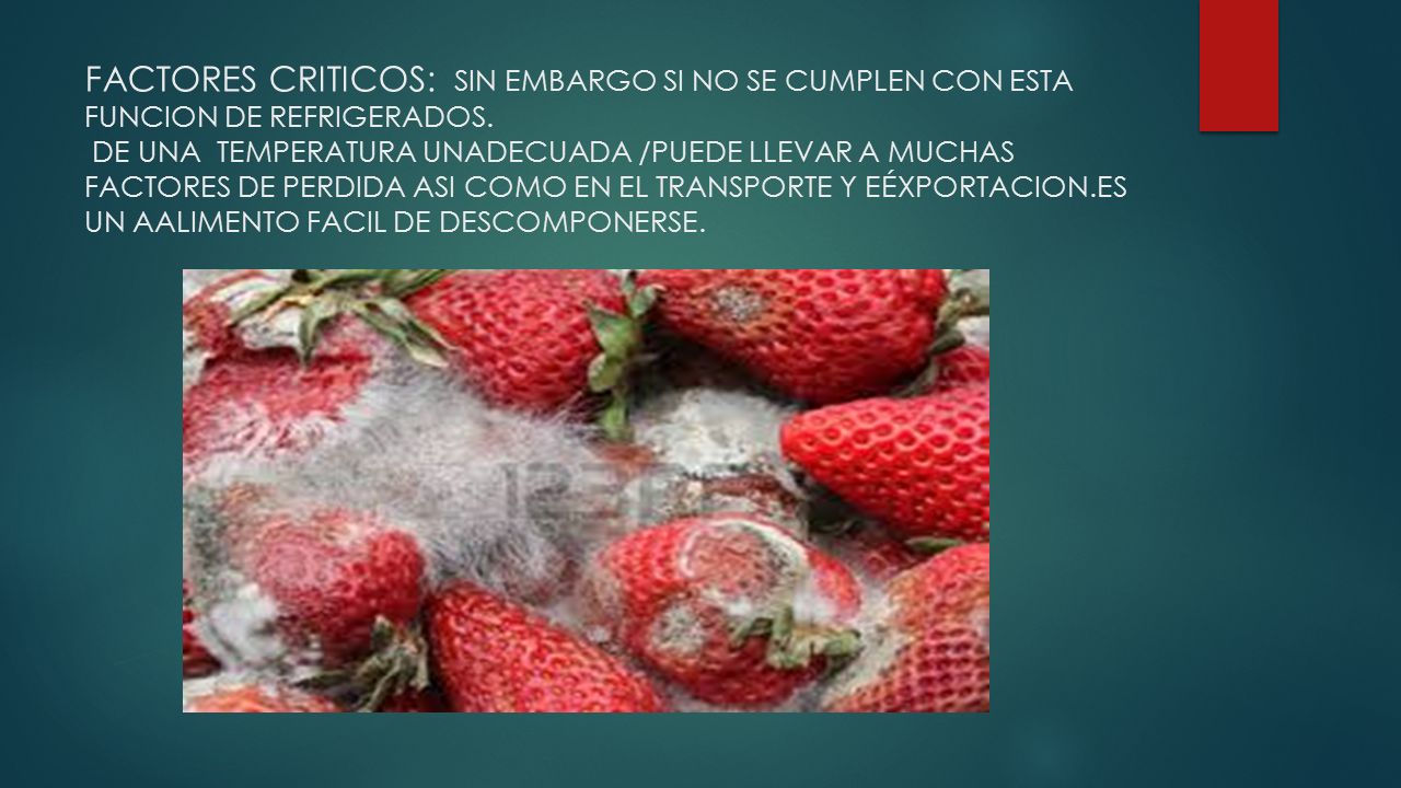 FACTORES CRITICOS: SIN EMBARGO SI NO SE CUMPLEN CON ESTA FUNCION DE REFRIGERADOS.