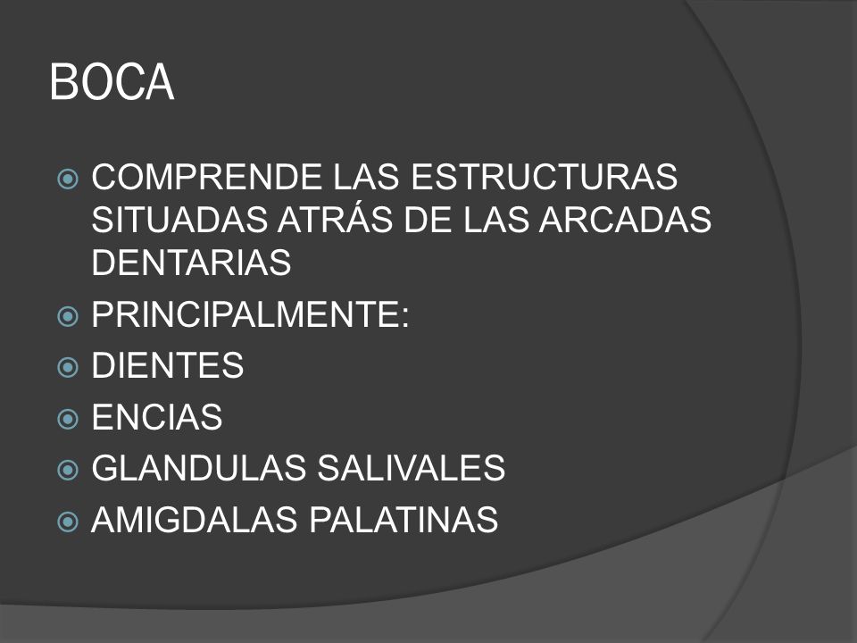 BOCA COMPRENDE LAS ESTRUCTURAS SITUADAS ATRÁS DE LAS ARCADAS DENTARIAS