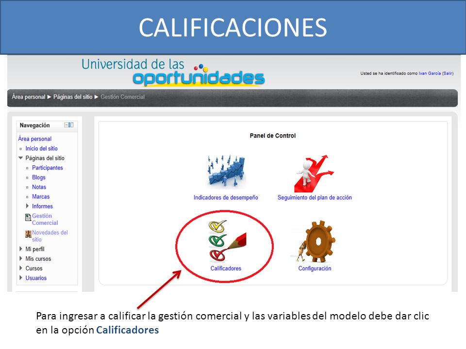 CALIFICACIONES Para ingresar a calificar la gestión comercial y las variables del modelo debe dar clic.