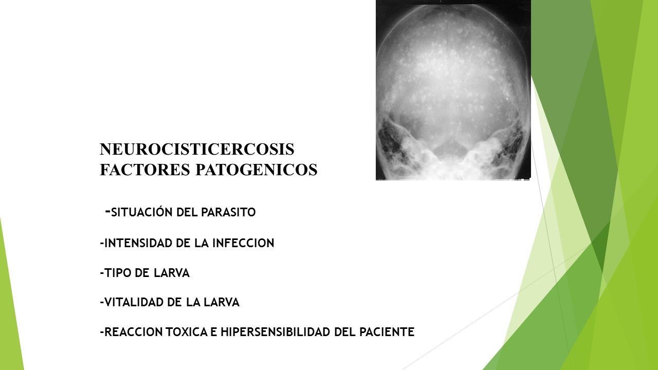 NEUROCISTICERCOSIS FACTORES PATOGENICOS -SITUACIÓN DEL PARASITO -INTENSIDAD DE LA INFECCION -TIPO DE LARVA -VITALIDAD DE LA LARVA -REACCION TOXICA E HIPERSENSIBILIDAD DEL PACIENTE