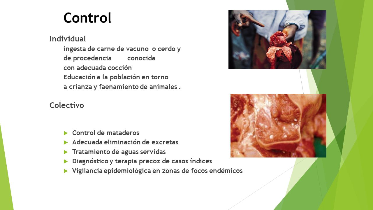 Control Individual Colectivo ingesta de carne de vacuno o cerdo y