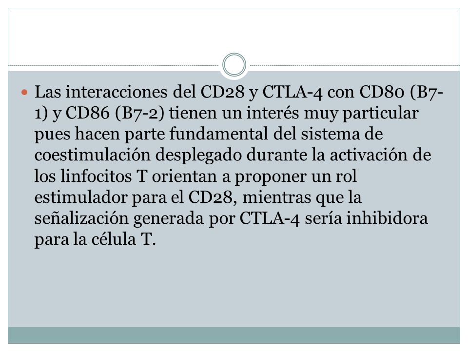 Las interacciones del CD28 y CTLA-4 con CD80 (B7-1) y CD86 (B7-2) tienen un interés muy particular pues hacen parte fundamental del sistema de coestimulación desplegado durante la activación de los linfocitos T orientan a proponer un rol estimulador para el CD28, mientras que la señalización generada por CTLA-4 sería inhibidora para la célula T.