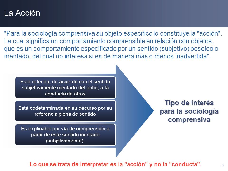 La Acción Tipo de interés para la sociología comprensiva