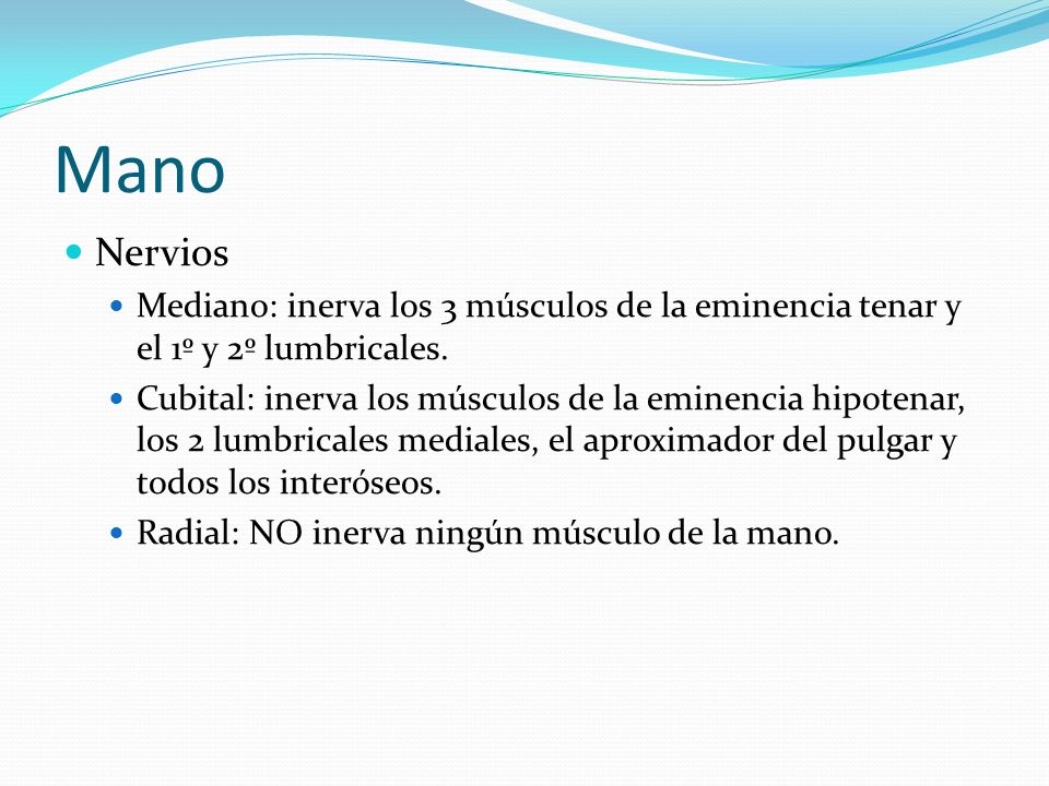 Mano Nervios. Mediano: inerva los 3 músculos de la eminencia tenar y el 1º y 2º lumbricales.