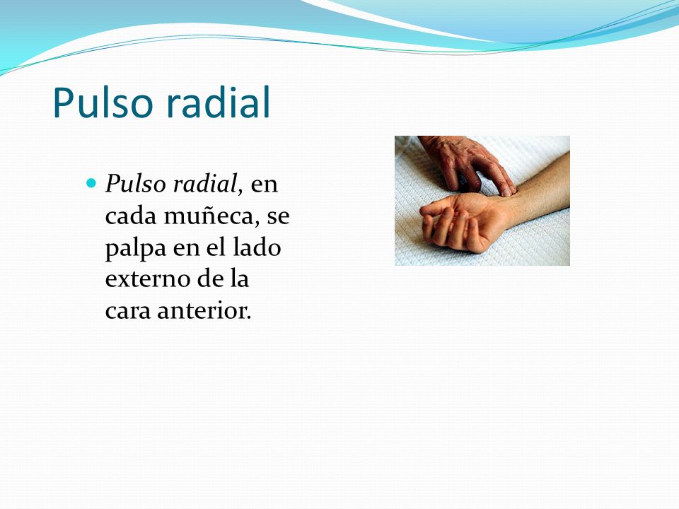 Pulso radial Pulso radial, en cada muñeca, se palpa en el lado externo de la cara anterior.