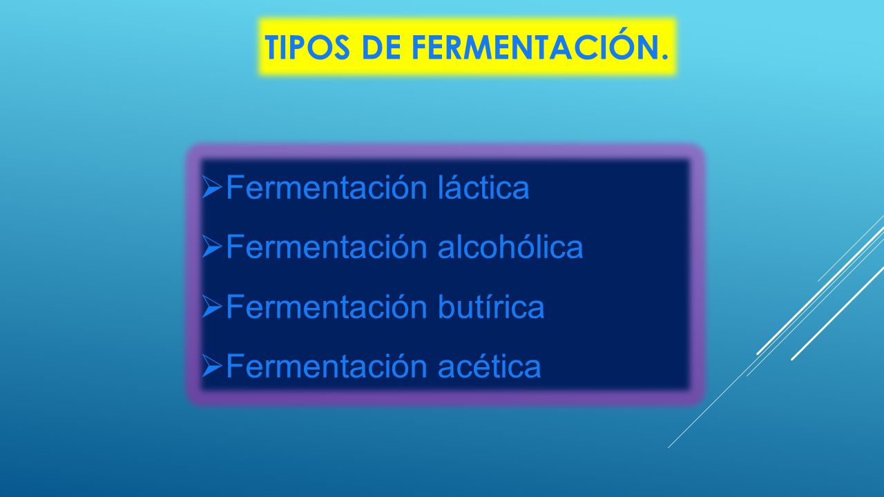 Tipos de fermentación. Fermentación láctica. Fermentación alcohólica.