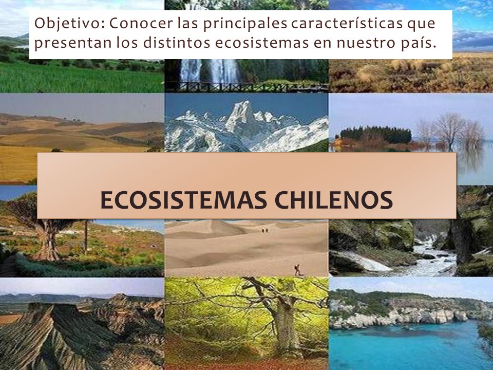 Objetivo: Conocer las principales características que presentan los distintos ecosistemas en nuestro país.