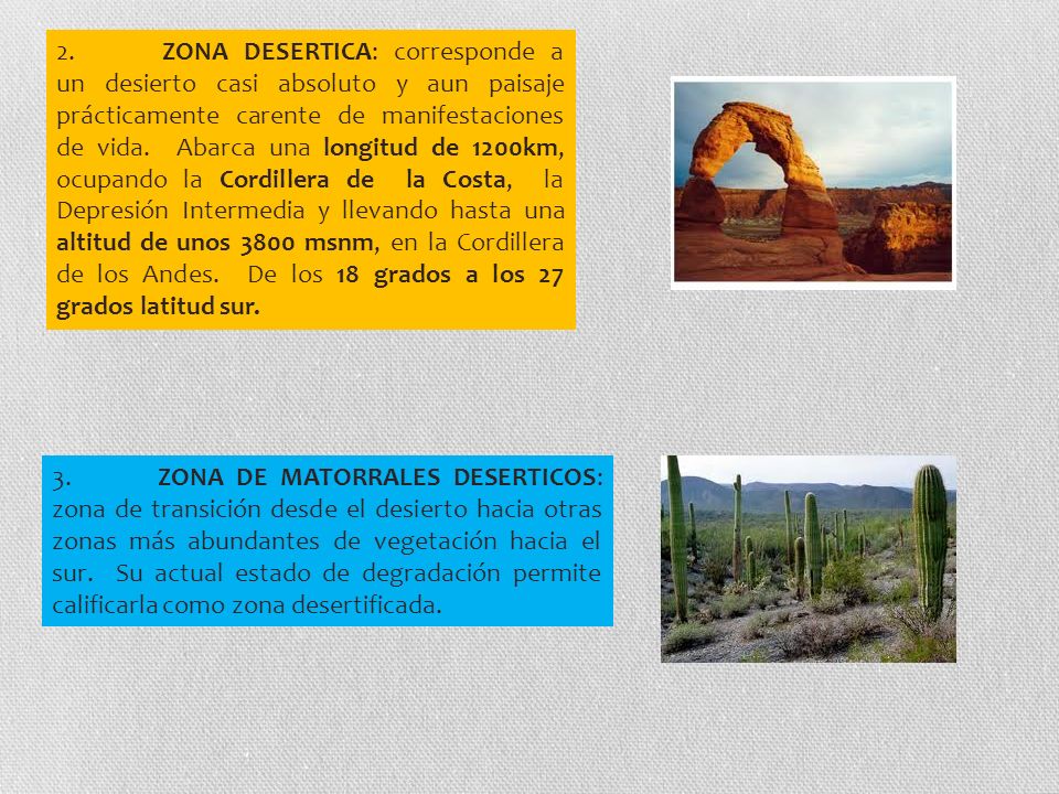 2. ZONA DESERTICA: corresponde a un desierto casi absoluto y aun paisaje prácticamente carente de manifestaciones de vida. Abarca una longitud de 1200km, ocupando la Cordillera de la Costa, la Depresión Intermedia y llevando hasta una altitud de unos 3800 msnm, en la Cordillera de los Andes. De los 18 grados a los 27 grados latitud sur.