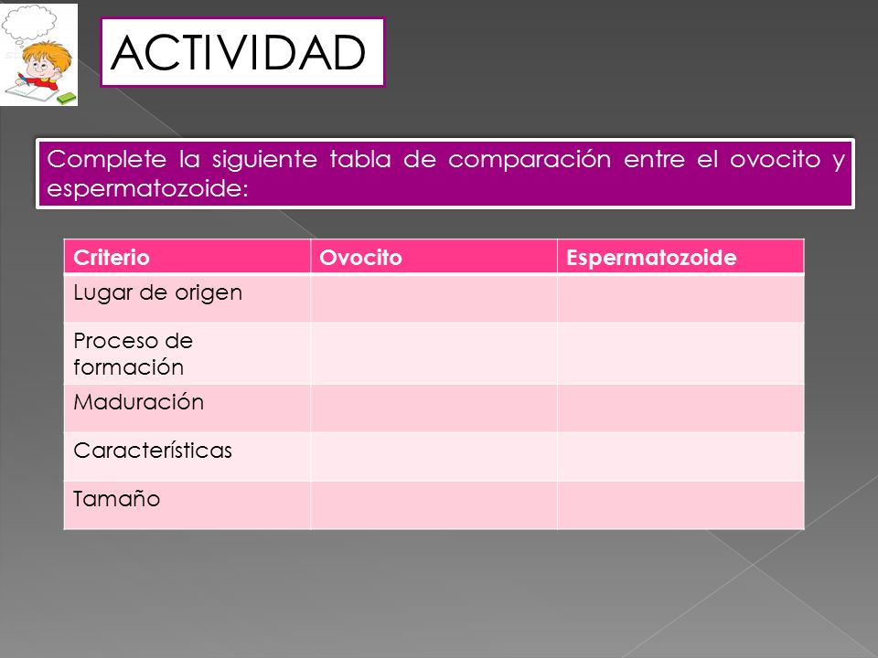 ACTIVIDAD Complete la siguiente tabla de comparación entre el ovocito y espermatozoide: Criterio. Ovocito.