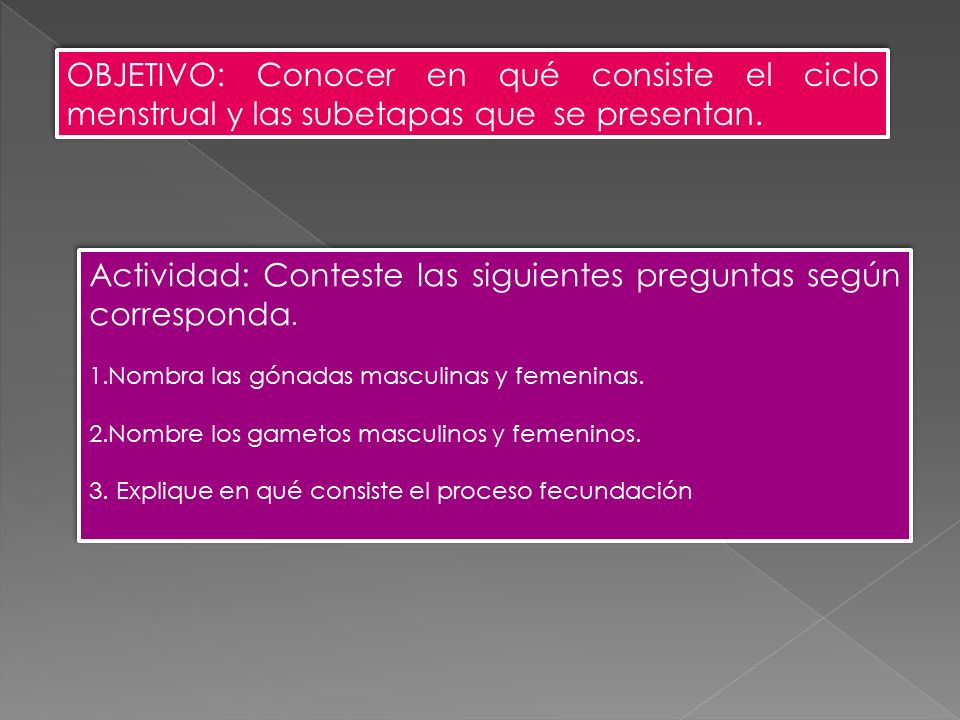 Actividad: Conteste las siguientes preguntas según corresponda.