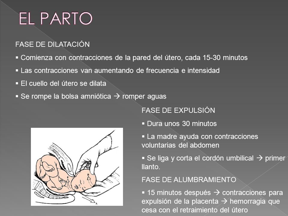 EL PARTO FASE DE DILATACIÓN