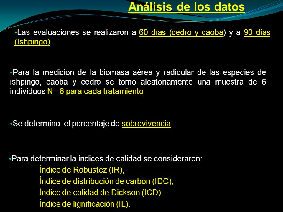 Análisis de los datos Las evaluaciones se realizaron a 60 días (cedro y caoba) y a 90 días (Ishpingo)